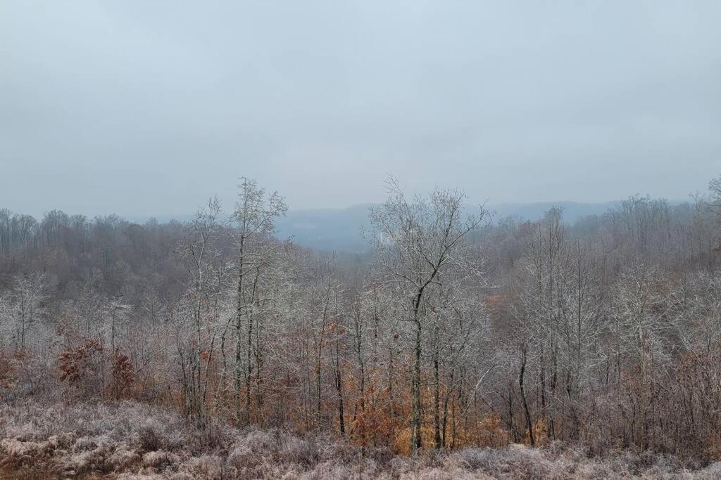 Great Little Guest Suite With Private Entry & Deck! Pet Friendly & 30 Mins To Nashville! Ashland City Buitenkant foto