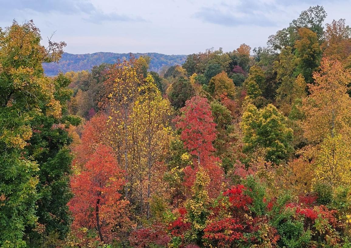 Great Little Guest Suite With Private Entry & Deck! Pet Friendly & 30 Mins To Nashville! Ashland City Buitenkant foto