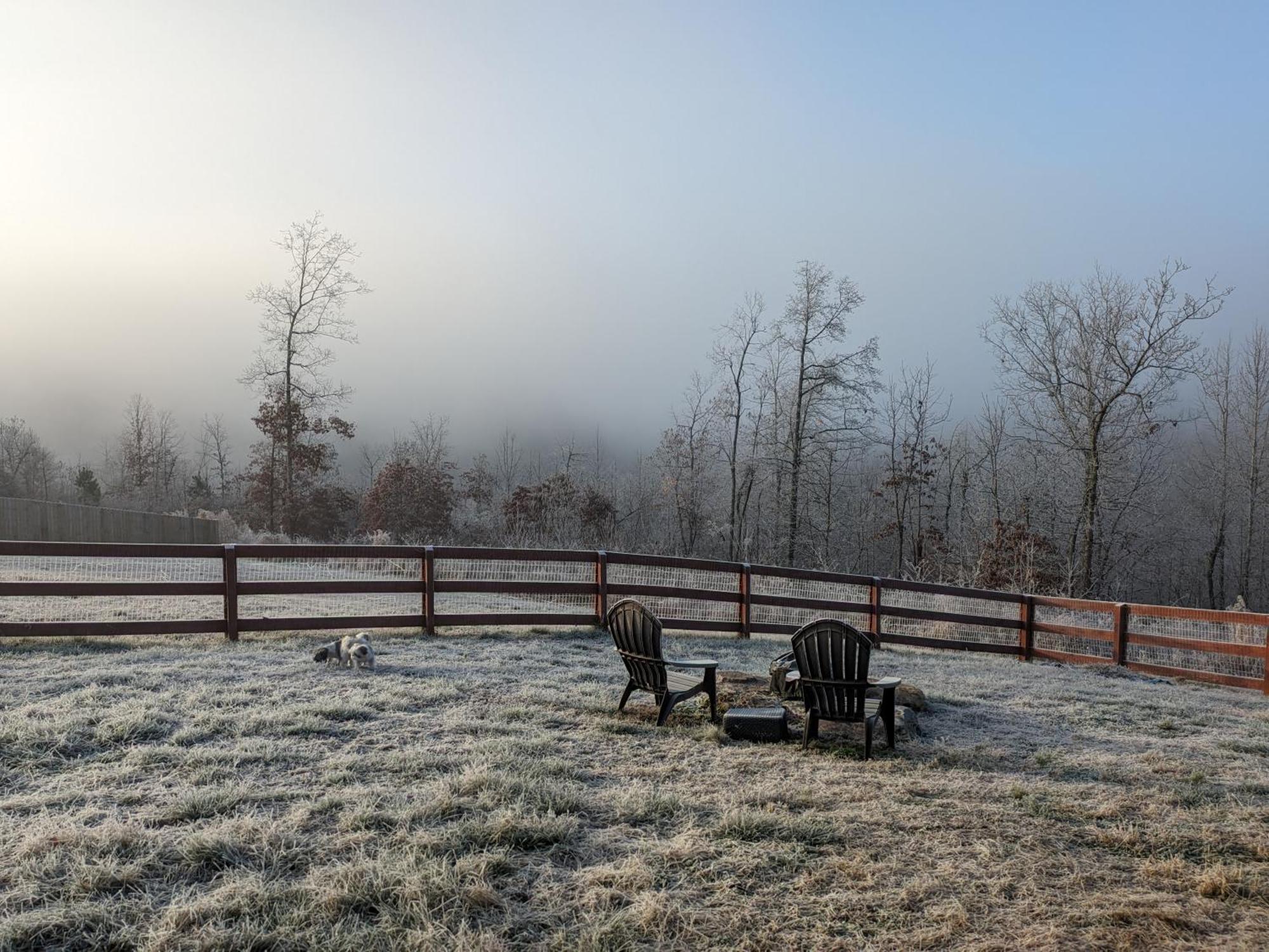 Great Little Guest Suite With Private Entry & Deck! Pet Friendly & 30 Mins To Nashville! Ashland City Buitenkant foto