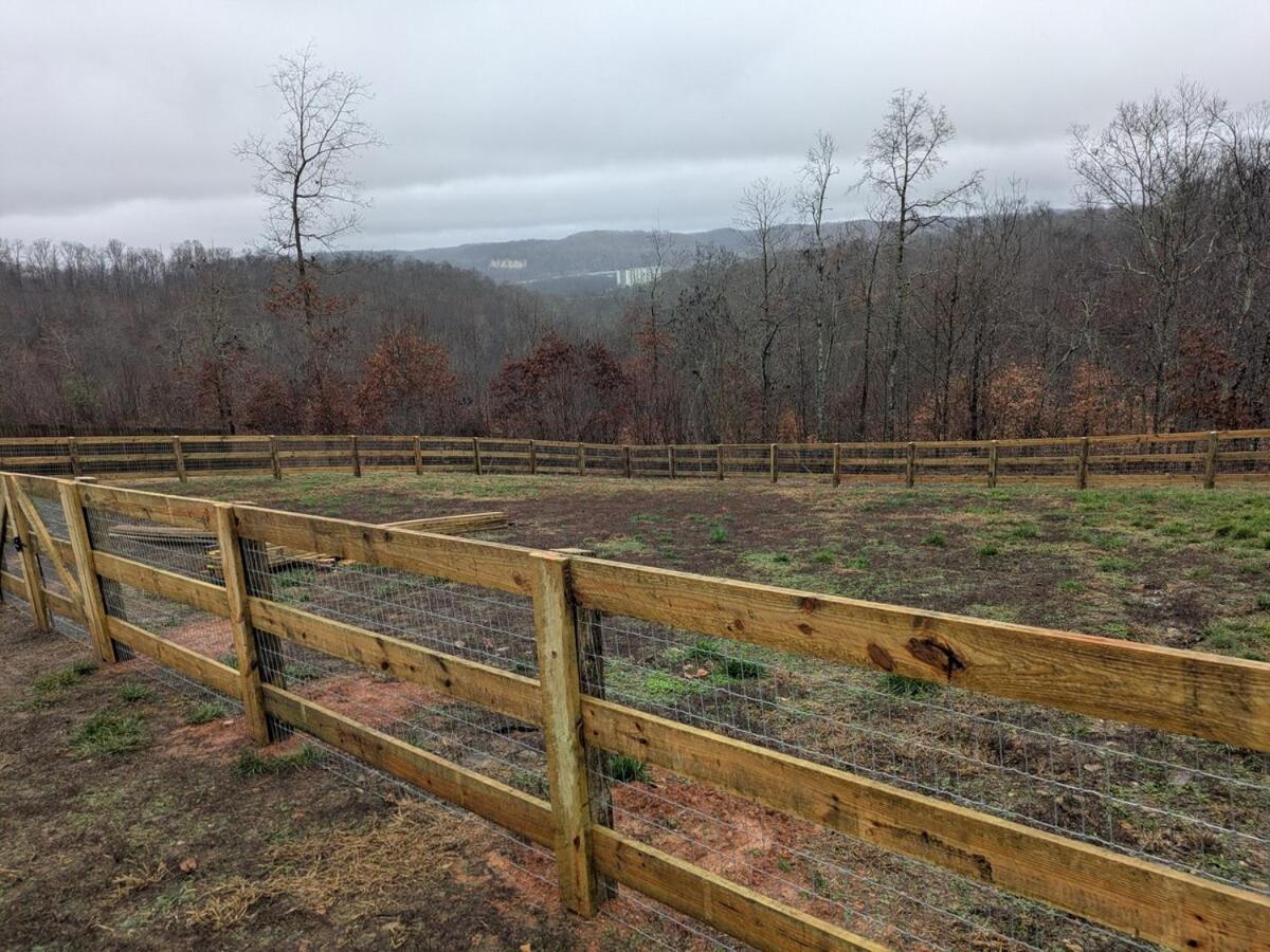 Great Little Guest Suite With Private Entry & Deck! Pet Friendly & 30 Mins To Nashville! Ashland City Buitenkant foto