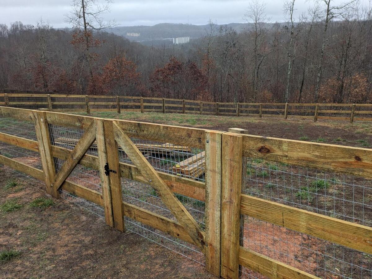 Great Little Guest Suite With Private Entry & Deck! Pet Friendly & 30 Mins To Nashville! Ashland City Buitenkant foto